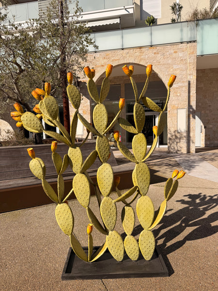 Grand Cactus Fruits