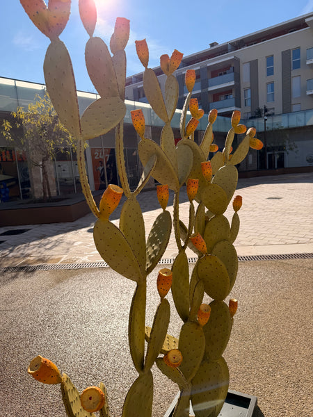 Grand Cactus Fruits