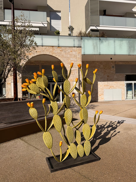 Grand Cactus Fruits