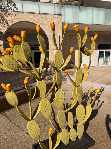 Grand Cactus Fruits